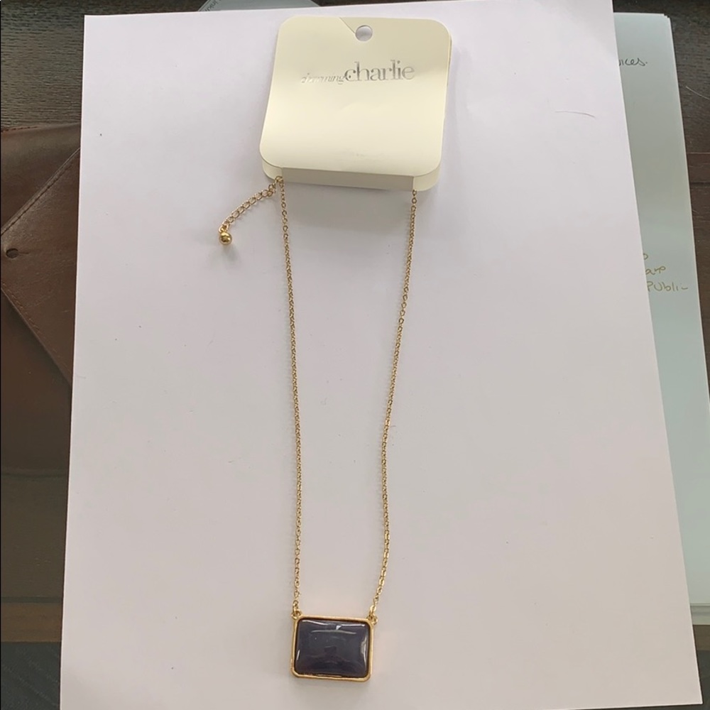 Brand new necklace